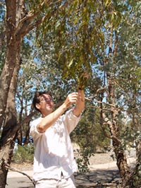 Associate Professor David Watson