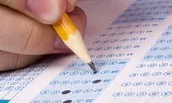 NAPLAN: only the test to blame for results