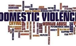 theDVproject: 2650 – domestic violence in Wagga Wagga