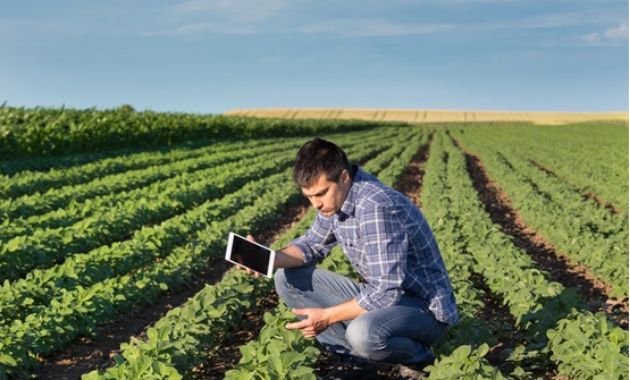 Regional opportunities showcased in latest national report 