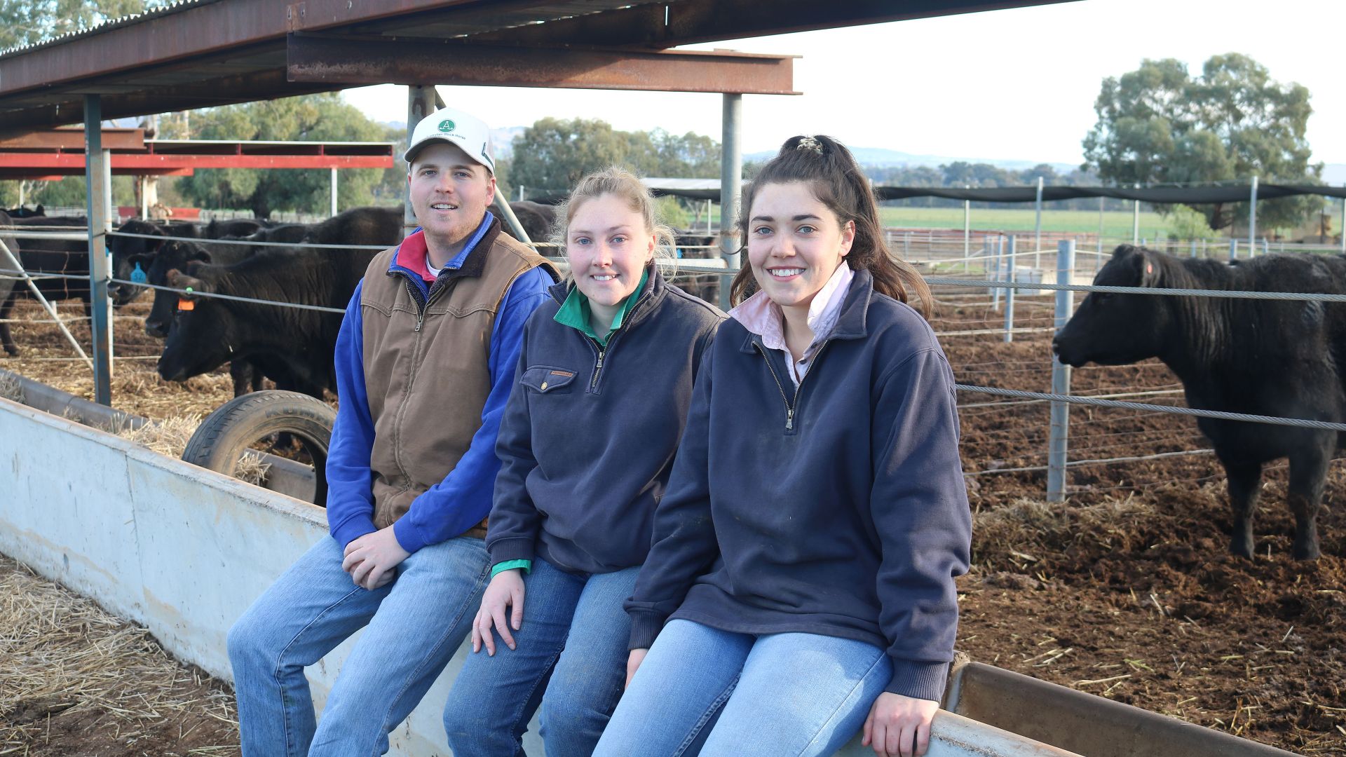 Getting more value out of cull cows