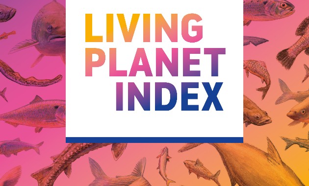 Charles Sturt expert co-authors world-first report on migratory fish declines