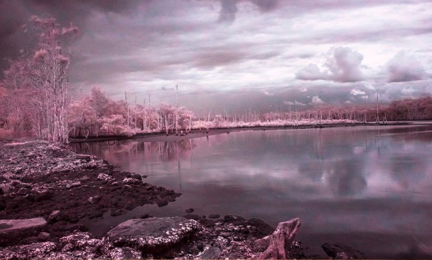‘Listening in the Anthropocene’ – new online issue of Fusion Journal