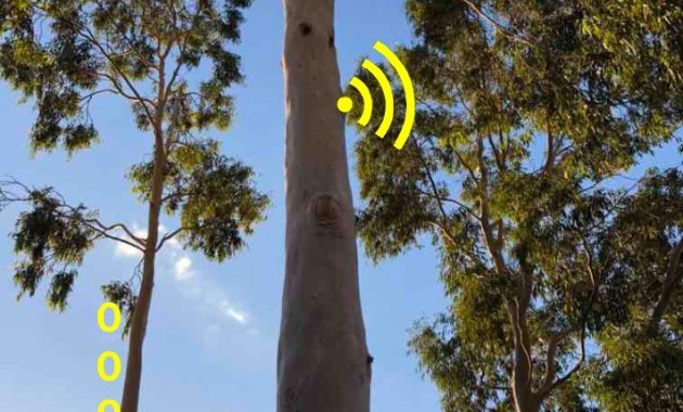 Smart technologies in North West NSW; a regional-rural study