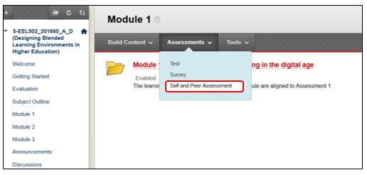 Image of how to access the self and peer assessment tool from the content menu