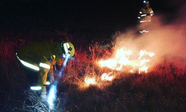 The benefits of fire. How heat and smoke can help save critically endangered ecosystems 
