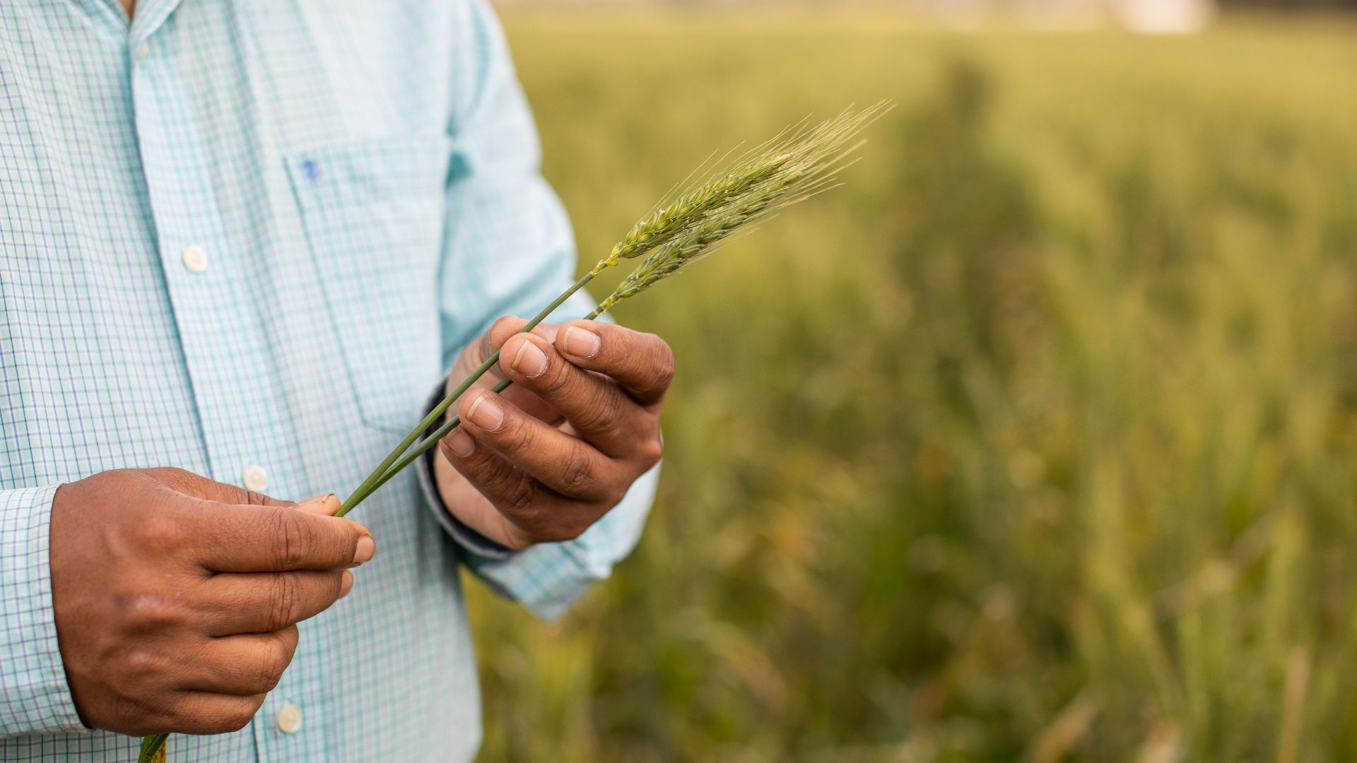 Thousands of dollars on offer to support First Nations agriculture students