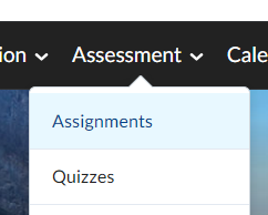 Accessing the assignments section