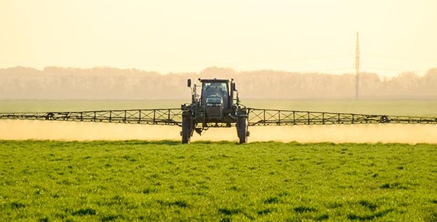 Nitrogen Fertiliser Trial