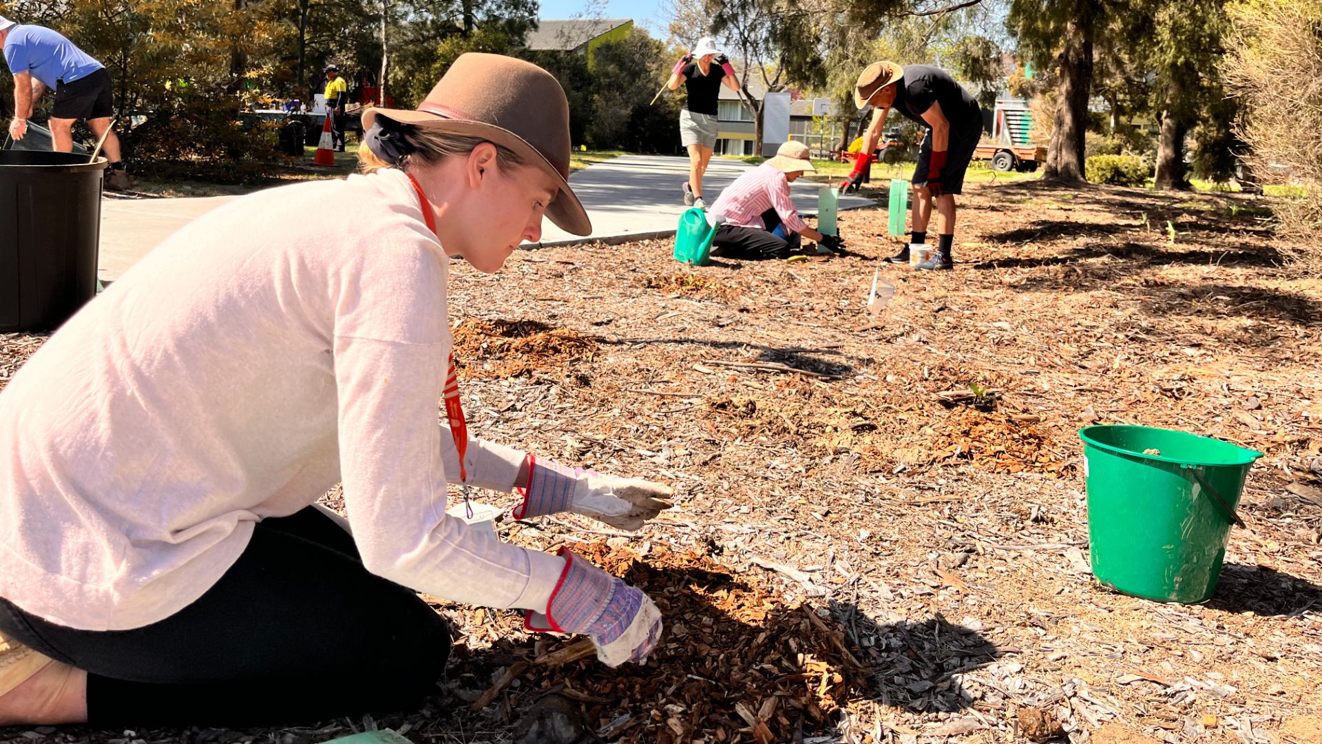 Reducing the unprecedented decline in biodiversity: university hosts interactive events 