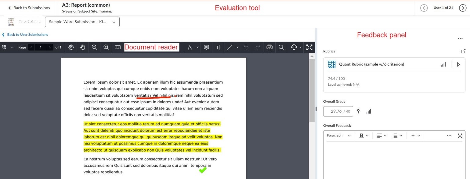 Document reader in the evaluation screen of the Brightspace Assignments Tool 