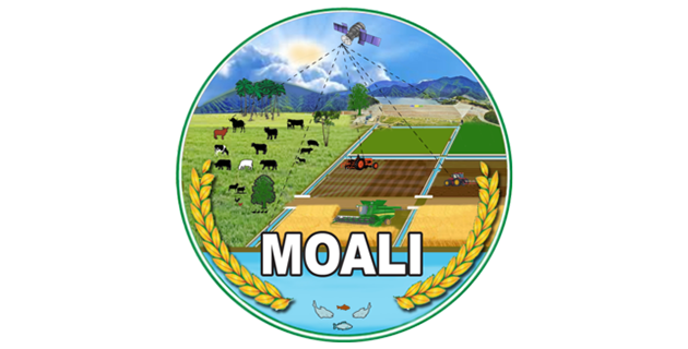 logo-moali.png