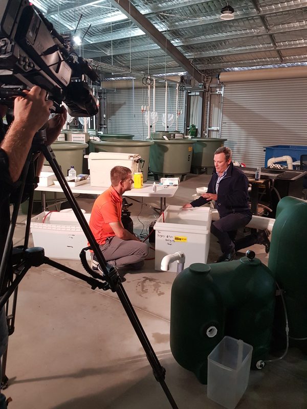 Professor Lee Baumgartner being filmed for the production of other fish tagging educational movies