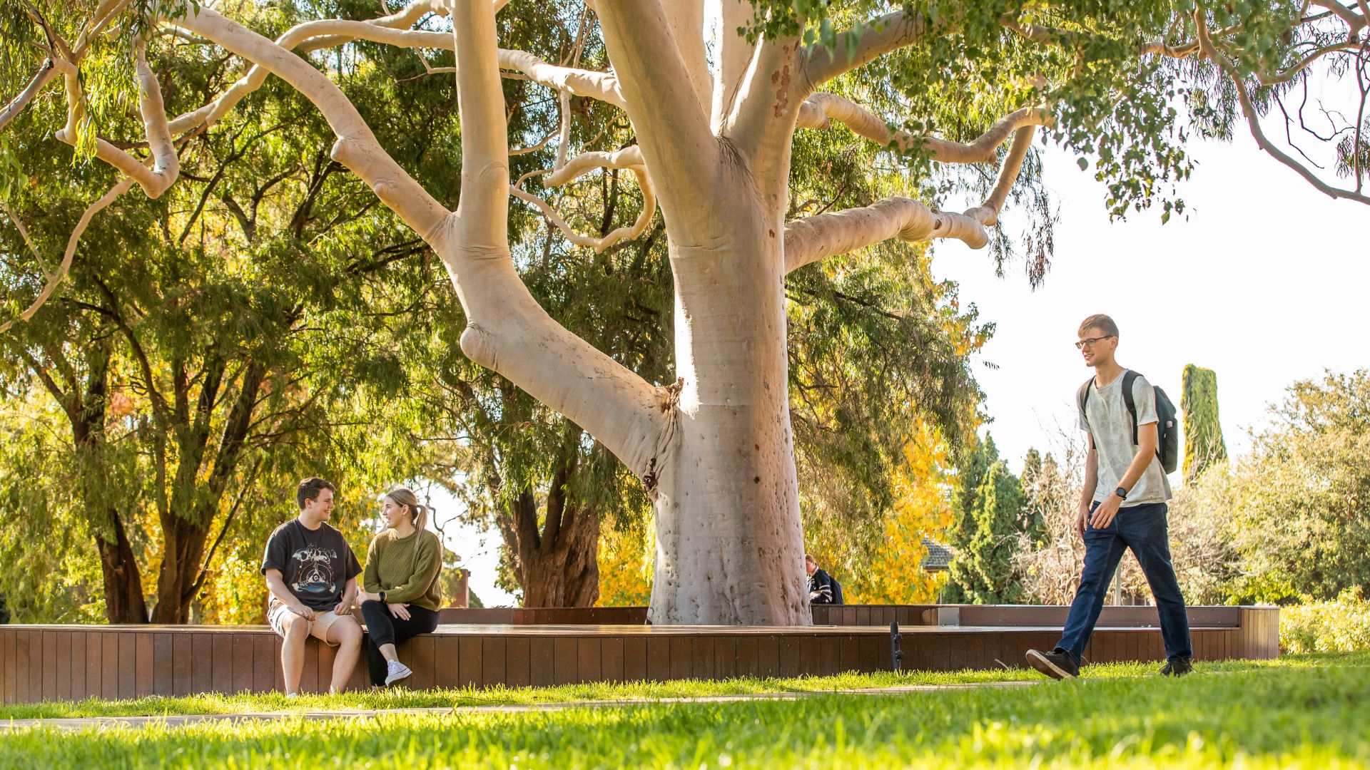 Charles Sturt University releases Sustainability Development Goals Report 