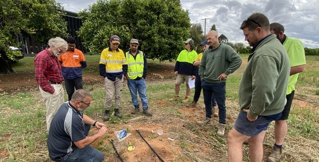 Irrigation efficiency boosts horticultural drought resilience