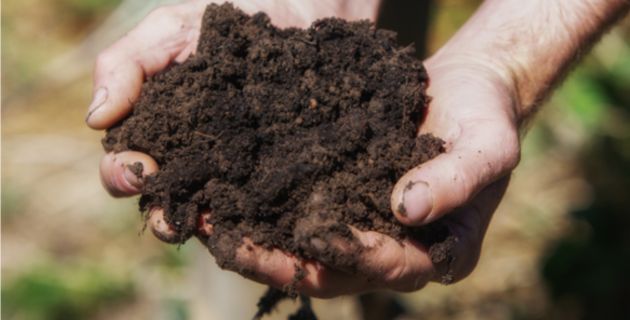 Section 2: Get your hands dirty