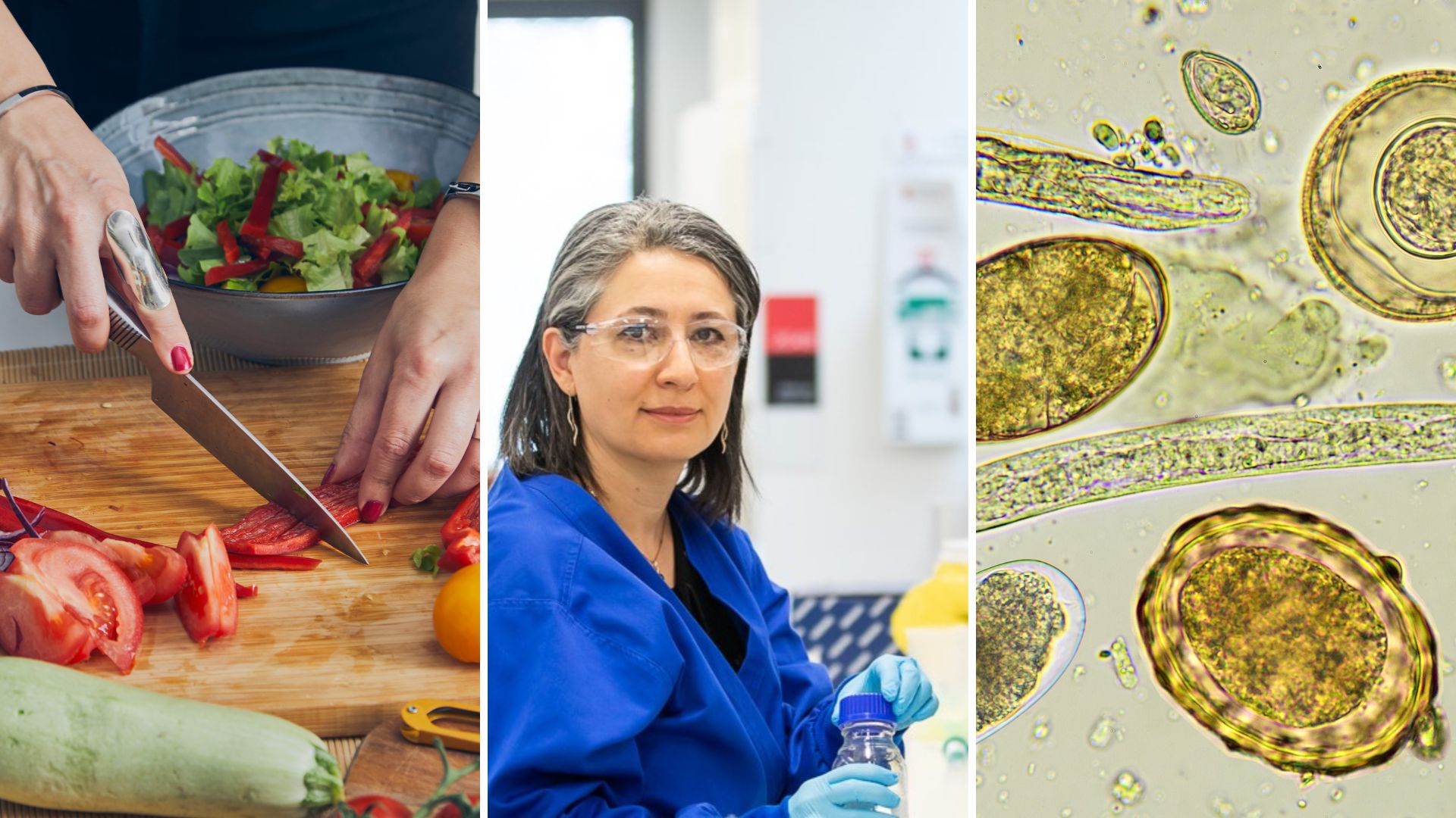 If you drop food on the floor … ? Don’t swallow the myth; food poisoning myths busted