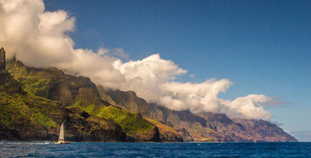 MATE bystander initiative