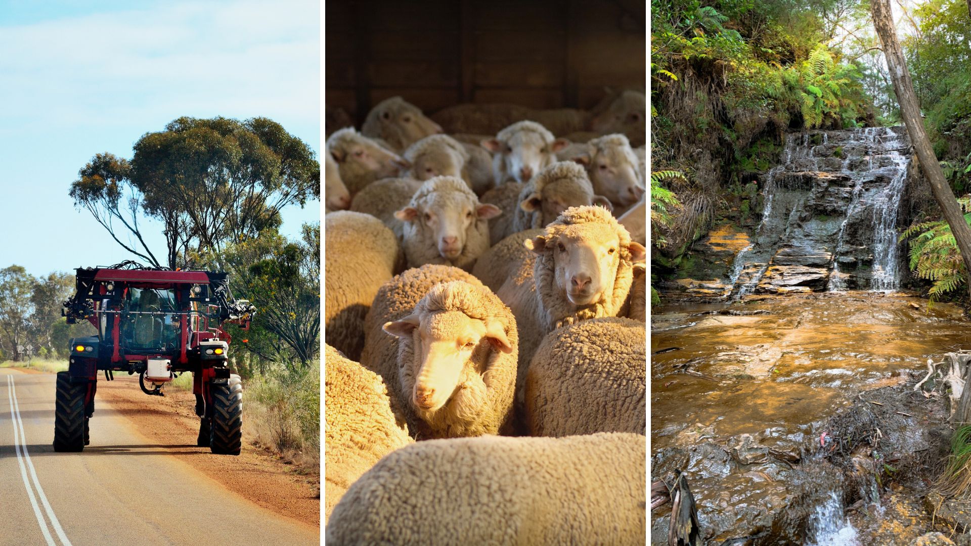 Charles Sturt searching for next generation of students to fill workforce shortages in agriculture 