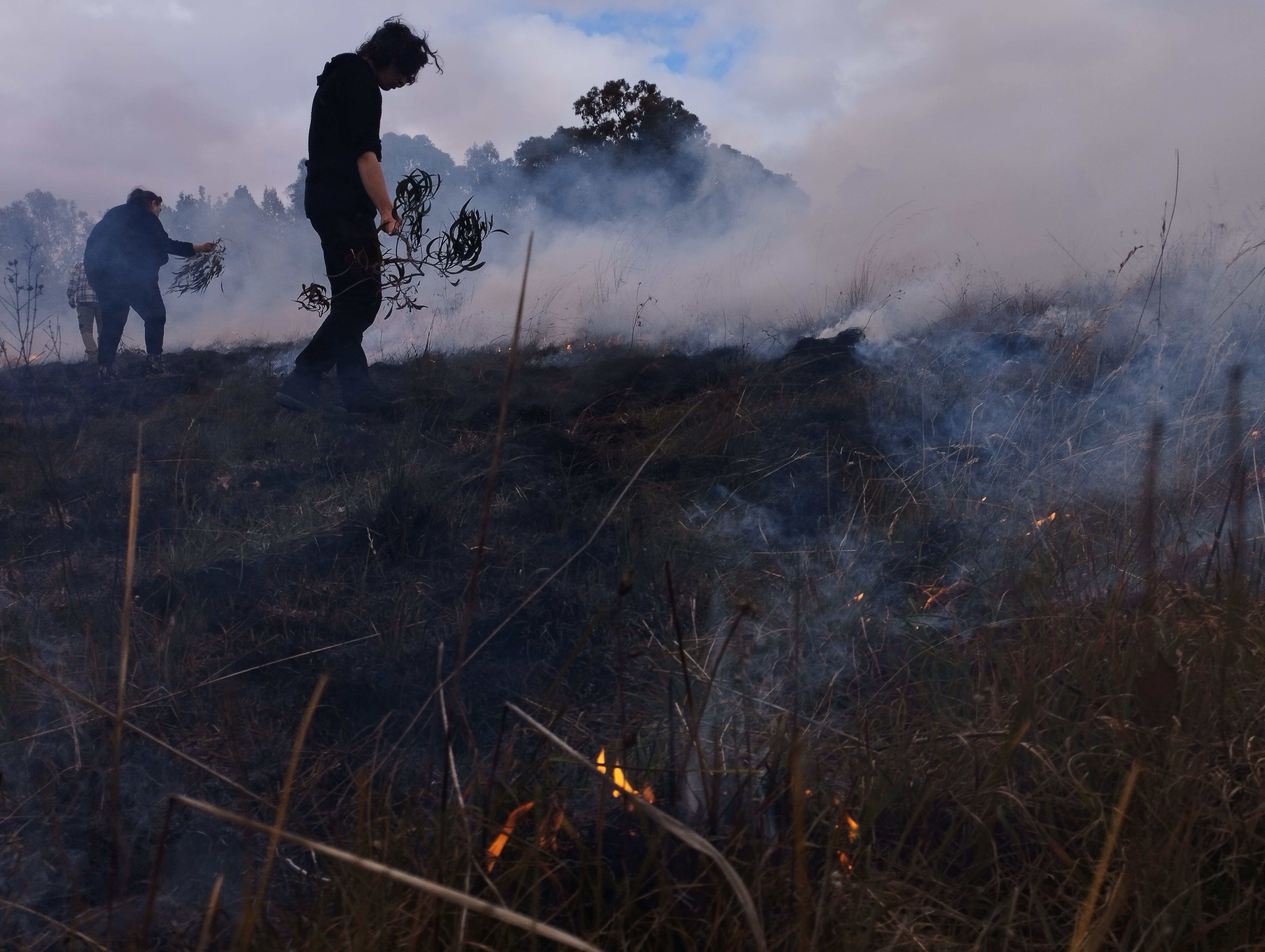 Keeping the fire cool Using native branches to suppress the flames and keep the fire cool