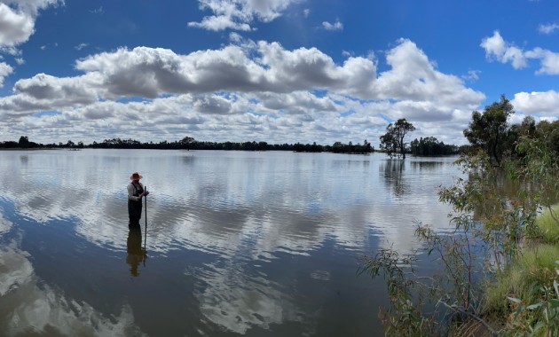 Digital media creates innovative portrait of Murrumbidgee wetland 