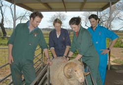 CSU offers the only vet science course in regional Australia. Photo: Keith Wheeler.