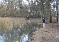CSU's Dr Skye Wassens at a frog habitat.