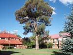 The CSU Bathurst Alumni Common