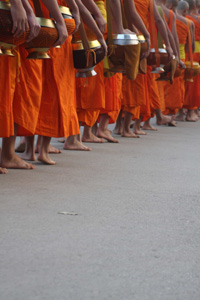 Photo by Bathurst CSU student, Ms Lauren Owen.