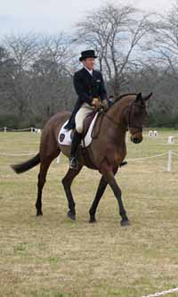 Mr Craig Barrett on Wendela Jamie. Photo courtesy of Mrs Prue Barrett. 