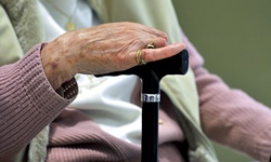 CSU academic argues for skilled RNs in aged care 