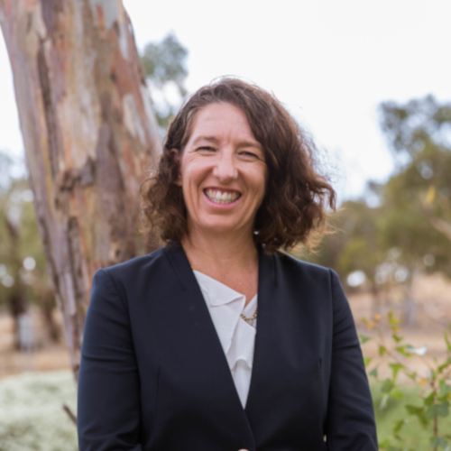 Professor Megan Smith profile