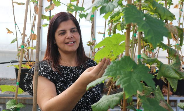 Charles Sturt researchers featured in women in science, technology and engineering publication 