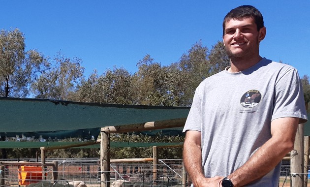 Research to help producers get the most out of lamb feedlots