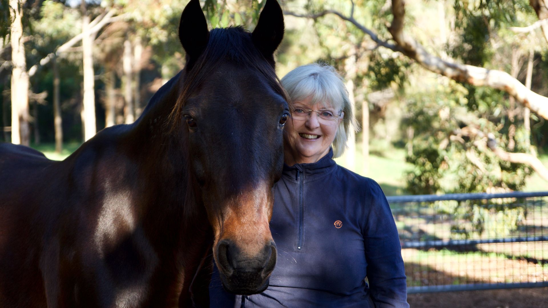 Charles Sturt research could have big impact on equine industry