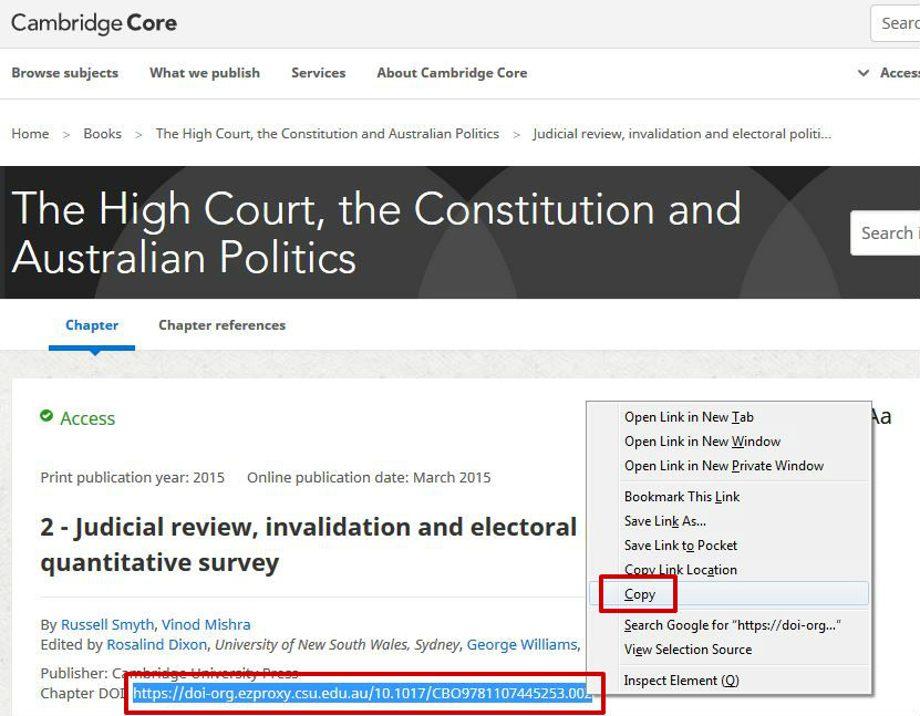 screen sample of the Cambridge website with the 'Chapter DOI' highlighted