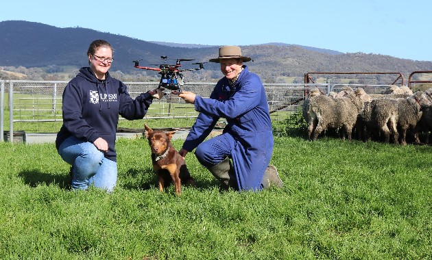 Dogs and drones: unlocking the benefits of AI mustering 