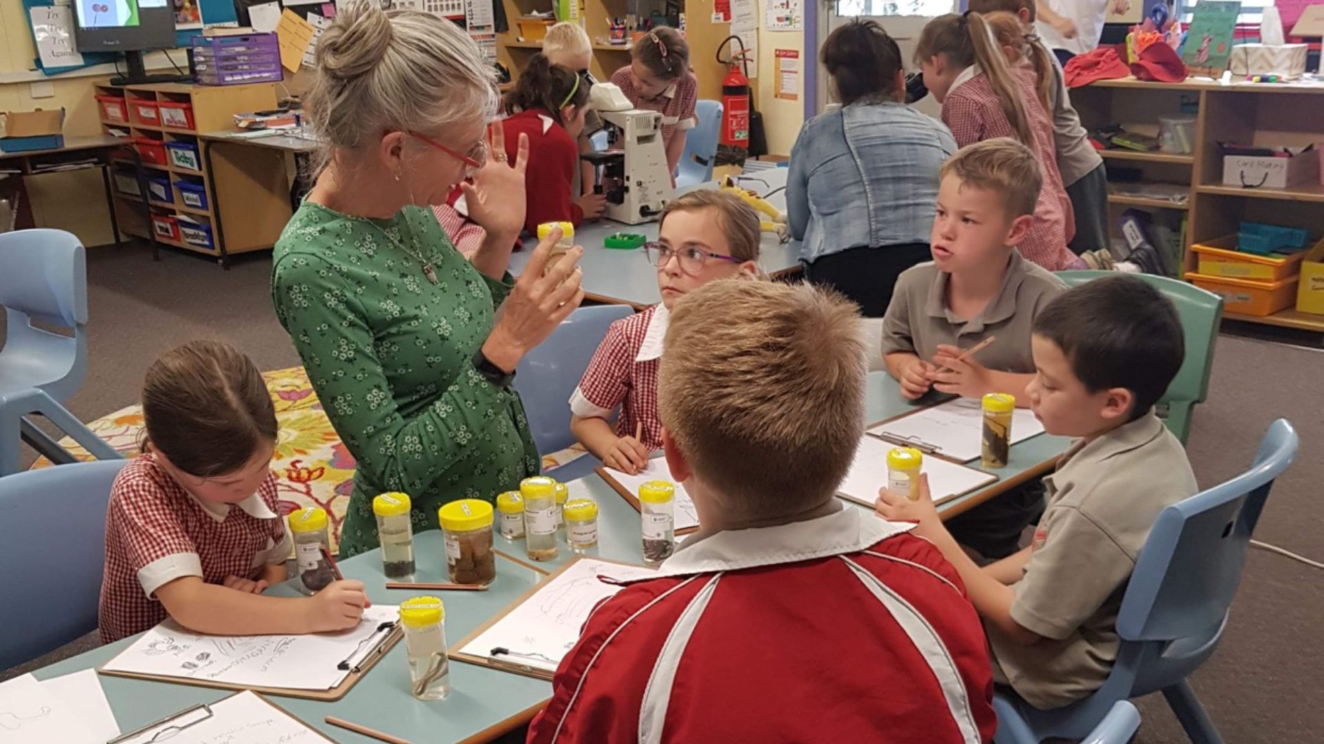 Stem Primary School Activities