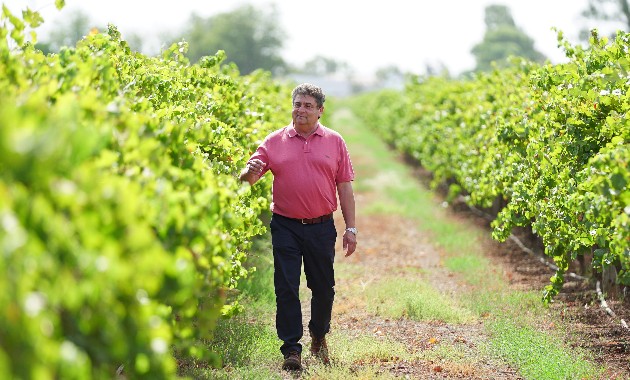 Leading wine company supports research scholarship