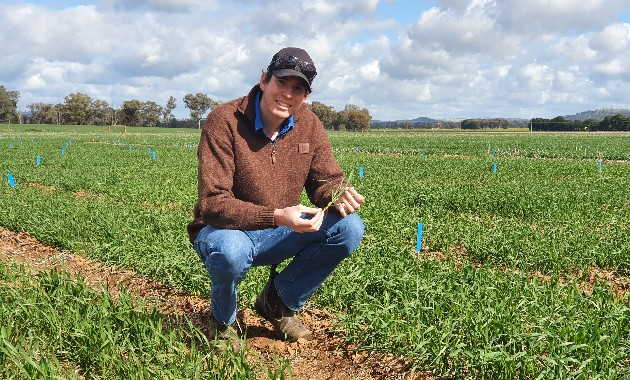 From Farrer to space: new PhD research investigates characteristics of fast-growing wheat