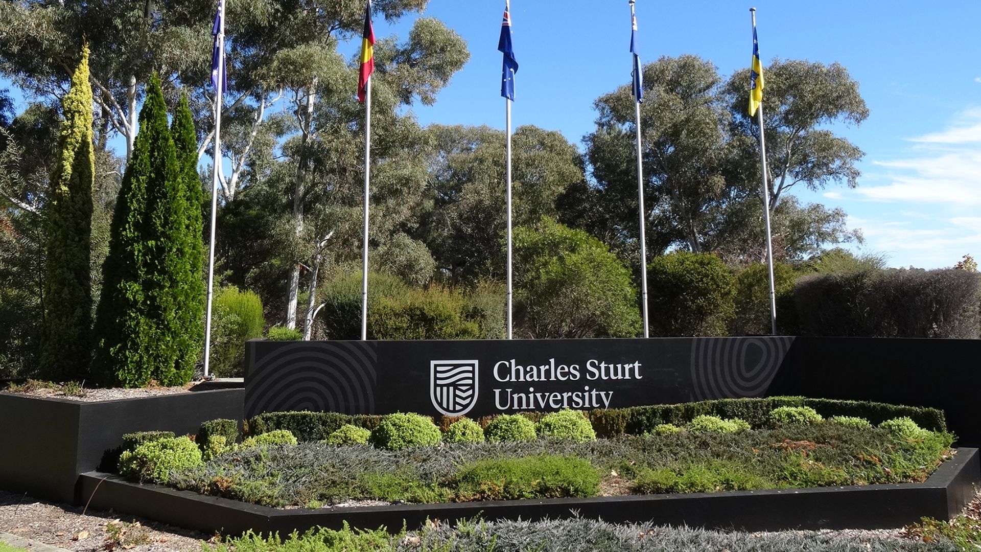 More than 16,000 offers made, demand increases for Charles Sturt in 2022 