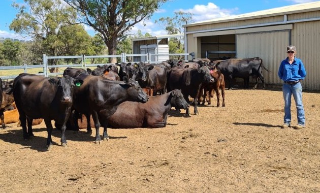 Fertile fodder: Scholarship allows pasture research to continue in Wagga Wagga