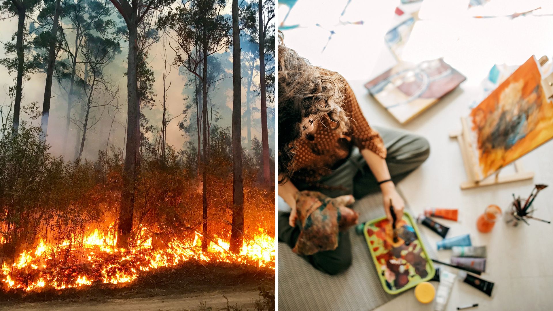 Snowy Valleys’ bushfire experience reflected in young people’s art exhibition in Tumut