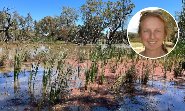 Field day to educate community on vital wetland system 