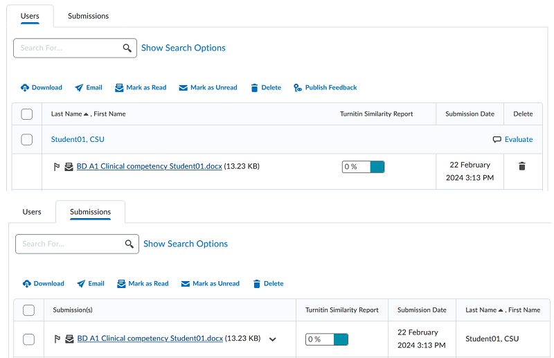 Selecting a student submission to view