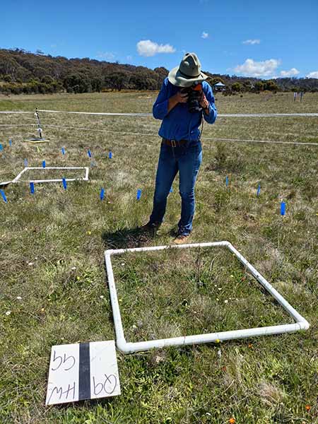 A PVC 1 m x 1 m plastic quadrat being used to define the study area.