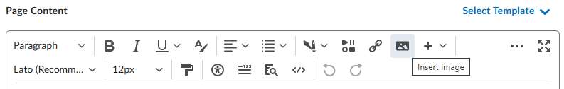 insert an image