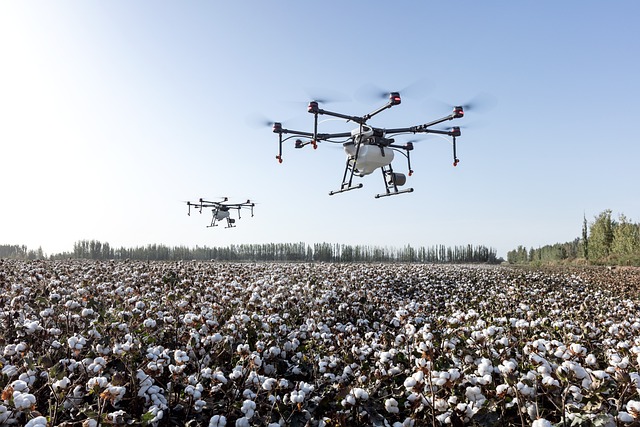 Drones over crop