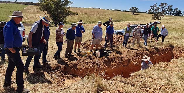 Hub helps Little River Landcare tap into a broader network