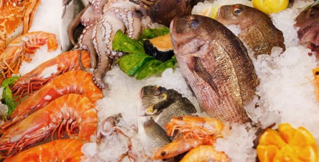 Impact of climate change on diseases affecting the seafood industry
